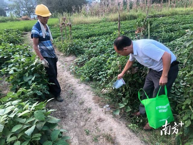 噴灑施藥。
