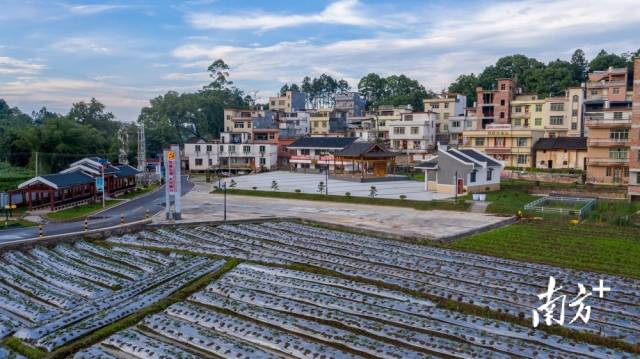 四聯(lián)鄉(xiāng)村振興綜合示范片。