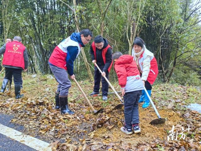 植樹現(xiàn)場(chǎng)。